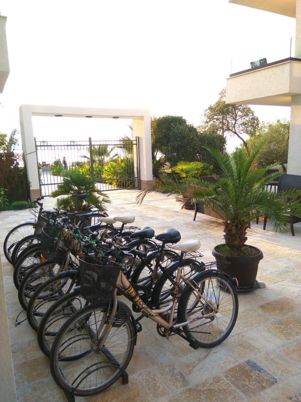 Kuce Lekovica & Snack Bar- Bistro Appartement *
